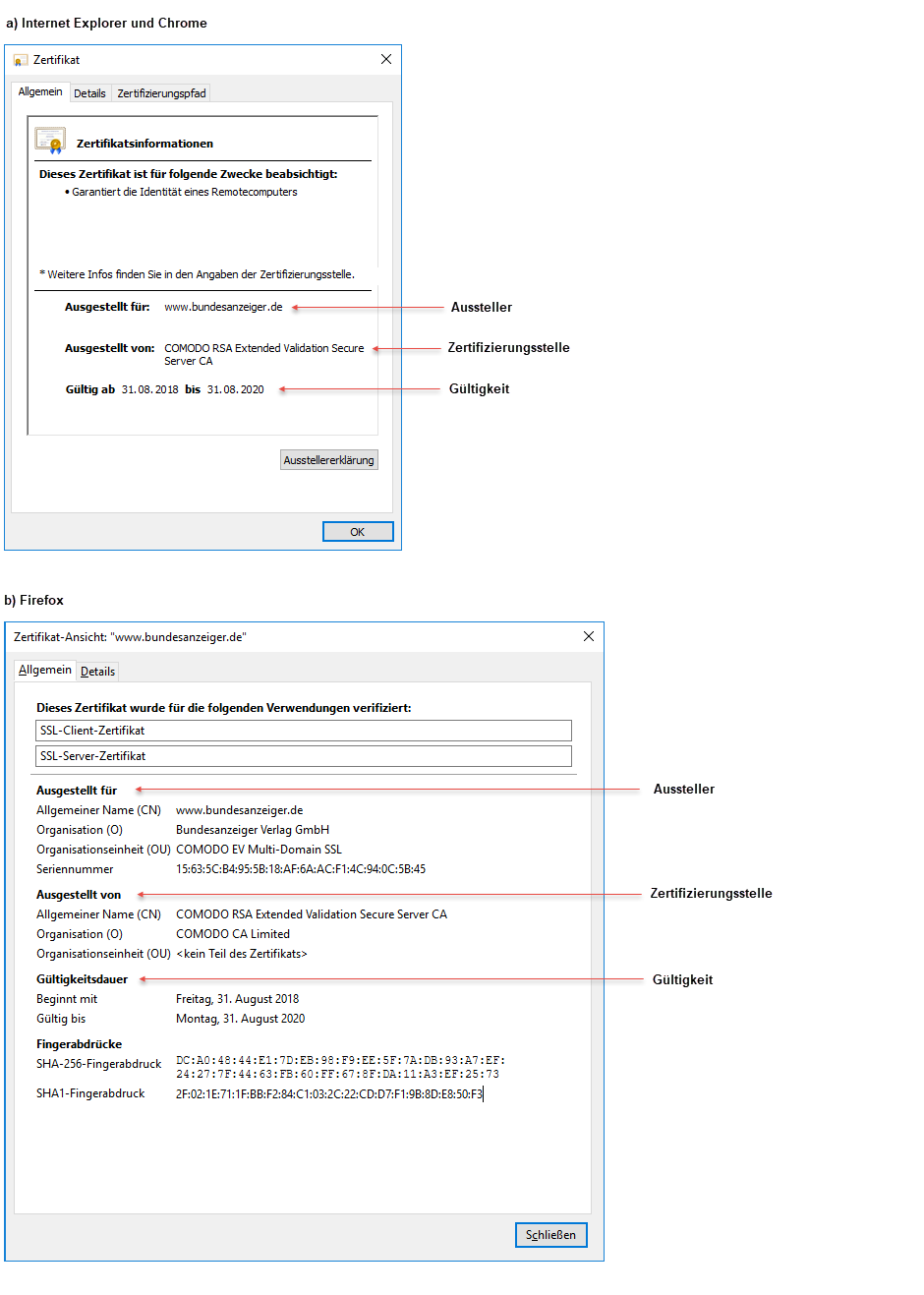 Schaugrafik, um dem Benutzer zu zeigen, welche Zertifikatsinformationen korrekt sein müssen