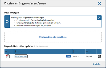 Abbildung 31: Upload-Dialog mit hochgeladener Datei