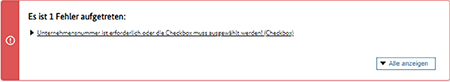 Abbildung 43: Beschreibung des Fehlers in Bezug auf die Unternehmensnummer