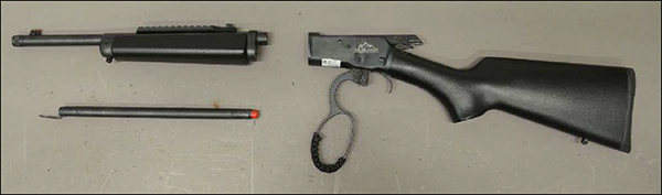 „Chiappa 1892 Wildlands“, Ansicht linke Seite, zerlegt in Einzelteile