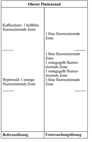 Im Chromatogramm der Referenzlösung liegt am Übergang zum mittleren Drittel die orange fluoreszierende Zone des Hyperosids und im oberen Drittel die hellblau fluoreszierende Zone der Kaffeesäure. Im Chromatogramm der Untersuchungslösung erscheint auf Höhe von Hyperosid eine blau fluoreszierende Zone. Darüber liegen zwei voneinander getrennte orangegelb fluoreszierende Zonen und darüber eine blau fluoreszierende Zone. Eine weitere blau fluoreszierende Zone liegt unterhalb der Kaffeesäure.