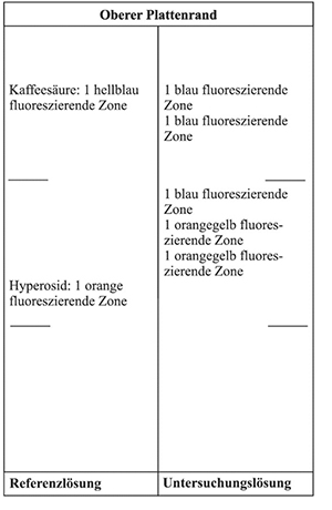 Im Chromatogramm der Referenzlösung liegt am Übergang zum mittleren Drittel die orange fluoreszierende Zone des Hyperosids und im oberen Drittel die hellblau fluoreszierende Zone der Kaffeesäure. Im Chromatogramm der Untersuchungslösung liegen oberhalb von Hyperosid zwei voneinander getrennte orangegelb fluoreszierende Zonen und darüber eine blau fluoreszierende Zone. Je eine weitere blau fluoreszierende Zone erscheint unterhalb und auf Höhe der Kaffeesäure.