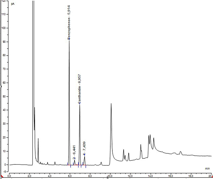 Die Abbildung zeigt ein Beispielchromatogramm der GC-Bestimmung der Untersuchungslösung der Droge von Lytta vesicatoria.