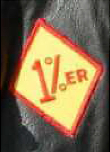 Dieses gelbe Kennzeichen mit roter Umrandung in Form einer Raute, zeigt eine rote Eins sowie direkt dahinter ein rotes Prozentzeichen und in roten Großbuchstaben die Endung E R.