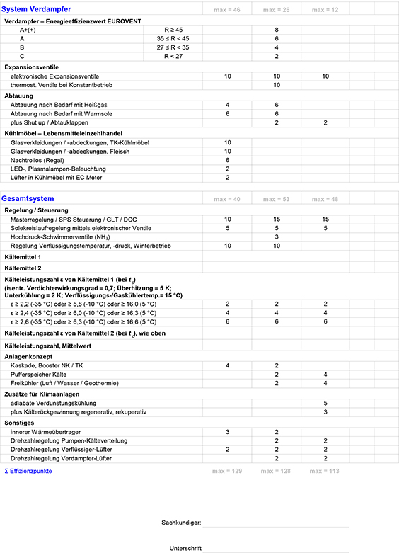 Muster Formblatt „Datenerhebung sowie Bewertung der Energieeffizienz – Seite 2: System Verdampfer und Gesamtsystem“