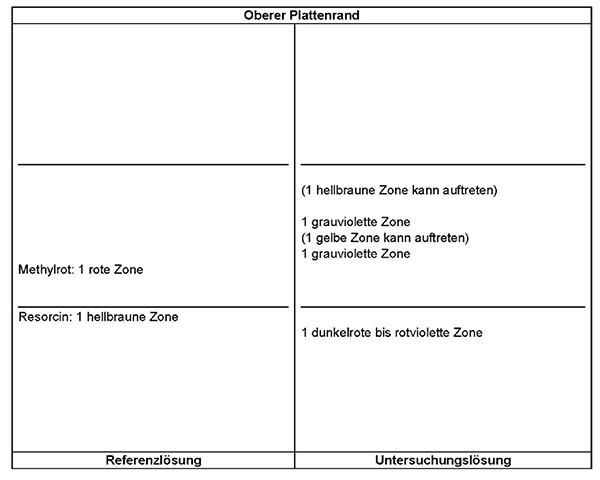 Das Chromatogramm der Referenzlösung zeigt am Übergang vom unteren zum mittleren Drittel der DC-Platte die hellbraune Zone des Resorcins und im mittleren Drittel die rote Zone des Methylrots. Das Chromatogramm der Untersuchungslösung zeigt die folgenden Zonen: Unterhalb des Resorcins eine dunkelrote bis rotviolette Zone, oberhalb des Methylrots eine grauviolette Zone, darüber kann eine gelbe Zone auftreten, gefolgt von einer weiteren grauvioletten Zone. Im oberen Bereich des mittleren Drittels kann eine weitere hellbraune Zone liegen.