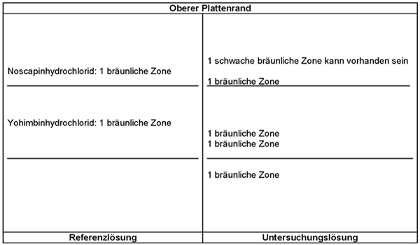 Das Chromatogramm der Referenzlösung zeigt im mittleren Drittel der DC-Platte die bräunliche Zone des Yohimbinhydrochlorids und im oberen Drittel die bräunliche Zone des Noscapinhydrochlorids. Das Chromatogramm der Untersuchungslösung zeigt die folgenden Zonen: Im unteren Drittel eine bräunliche Zone, unterhalb des Yohimbinhydrochlorids zwei getrennte bräunliche Zonen und unterhalb des Noscapinhydrochlorids eine weitere bräunliche Zone. Oberhalb von Noscapinhydrochlorid kann eine schwache bräunliche Zone auftreten.