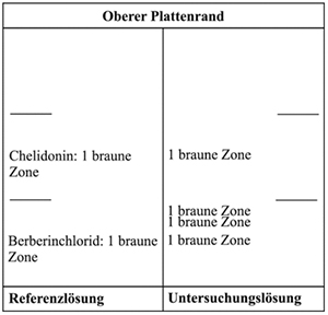 Das Chromatogramm der Referenzlösung zeigt im unteren Drittel der DC-Platte die braune Zone des Berberinchlorids und im mittleren Drittel die braune Zone des Chelidonins. Das Chromatogramm der Untersuchungslösung zeigt die folgenden Zonen: Auf Höhe des Berberinchlorids eine braune Zone, darüber zwei weitere braune Zonen und auf Höhe des Chelidonins eine braune Zone.