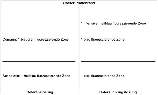 Das Chromatogramm der Referenzlösung zeigt im unteren Drittel der DC-Platte die hellblau fluoreszierende Zone des Scopoletins und im mittleren Drittel die blau fluoreszierende Zone des Cumarins. Das Chromatogramm der Untersuchungslösung zeigt die folgenden Zonen: Auf Höhe des Scopoletins eine blau fluoreszierende Zone, auf Höhe des Cumarins eine blau fluoreszierende Zone und oberhalb des Cumarins eine intensive, hellblau fluoreszierende Zone.