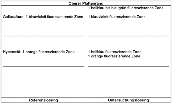 Das Chromatogramm der Referenzlösung zeigt im mittleren Drittel der DC-Platte die orange fluoreszierende Zone des Hyperosids und im oberen Drittel die blauviolett fluoreszierende Zone der Gallussäure. Das Chromatogramm der Untersuchungslösung zeigt die folgenden Zonen: Auf Höhe des Hyperosids eine hellblau fluoreszierende Zone, darunter eine orange fluoreszierende Zone, auf Höhe der Gallussäure eine blauviolett fluoreszierende Zone und darüber eine hellblau bis blaugrün fluoreszierende Zone.