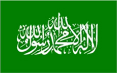 Die von der HAMAS häufig genutzte Fahne mit dem islamischen Glaubensbekenntnis auf Arabisch „Es gibt keinen Gott außer Gott, Muhammad ist der Gesandte Gottes“ auf grünem Grund.