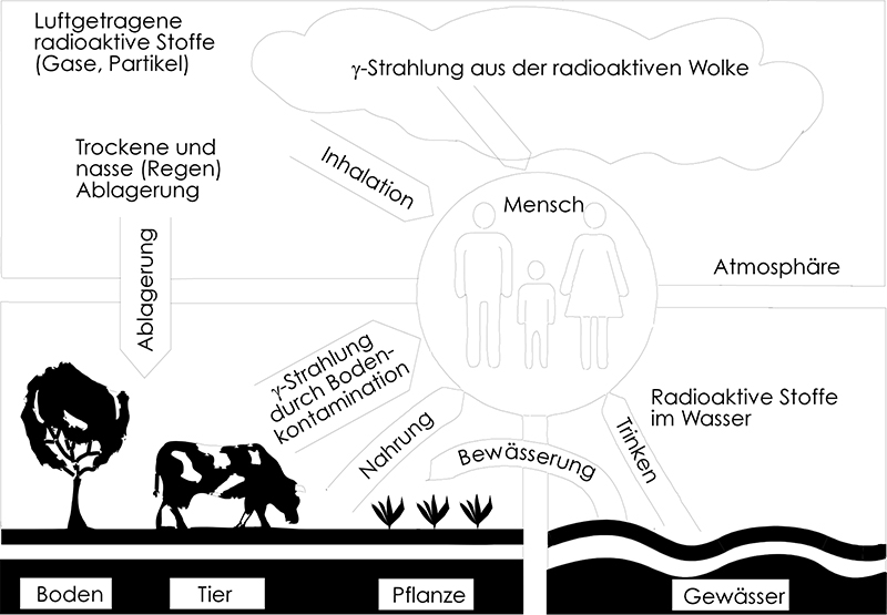 Abb. 2.2: Schematische Darstellung von ausgewählten Expositionspfaden, die zu äußerer oder innerer Strahlenexposition des Menschen führen können (aus ISM-RLP 1986)