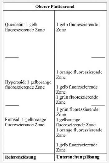 Das Chromatogramm der Referenzlösung zeigt im unteren Drittel die gelborange fluoreszierende Zone des Rutosids, im mittleren Drittel die gelborange fluoreszierende Zone des Hyperosids und im oberen Drittel die gelb fluoreszierende Zone des Quercetins. Das Chromatogramm der Untersuchungslösung zeigt oberhalb der Auftragelinie eine gelb fluoreszierende Zone, unterhalb von Rutosid eine orange fluoreszierende Zone und auf Höhe von Rutosid eine gelborange fluoreszierende Zone. Zwischen den Referenzsubstanzen Rutosid und Hyperosid treten zwei grün fluoreszierende Zonen, darüber eine gelb fluoreszierende Zone und oberhalb von Hyperosid eine orange fluoreszierende Zone auf. Auf Höhe der Referenzsubstanz Quercetin erscheint eine gelb fluoreszierende Zone.
