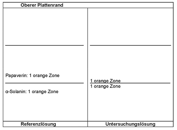 Das Chromatogramm der Referenzlösung zeigt im unteren Drittel die orange Zone des α-Solanins und im mittleren Drittel die orange Zone des Papaverins. Das Chromatogramm der Untersuchungslösung zeigt zwischen den beiden Referenzsubstanzen zwei orange Zonen.