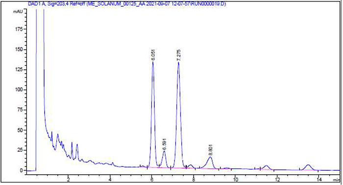 Die Abbildung zeigt ein Beispielchromatogramm für die Urtinktur von Solanum dulcamara.