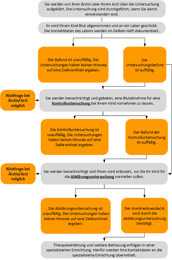 Grafik zum Ablauf des Neugeborenen-Screenings