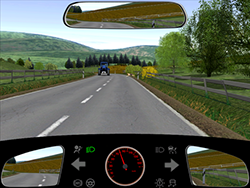 Sie befahren eine Außerortsstraße mit 80 km/h, vor Ihnen läuft ein Tier über die Fahrbahn.