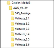 Bild Ordnerstruktur: Überordner „Dateien_​Modul3“, Unterordner „AWG_​#A-Z#“, Unterordner „SAS_​Auszüge“, weitere Einzelordner „Volltexte_​3.1“ bis „Volltexte_​3.6“