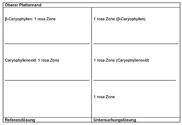 Das Chromatogramm der Referenzlösung zeigt im mittleren Drittel die rosa Zone des Caryophyllenoxids und im oberen Drittel etwas oberhalb der Mitte die rosa Zone des ß-Caryophyllens. Im Chromatogramm der Untersuchungslösung liegt im unteren Drittel etwa in der Mitte eine rosa Zone, die weiteren rosa Zonen sind Caryophyllenoxid bzw. ß-Caryophyllen.