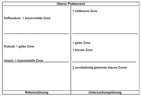Das Chromatogramm der Referenzlösung zeigt am Übergang zum mittleren Drittel die braunviolette Zone des Aescins, etwa in der Mitte des mittleren Drittels die gelbe Zone des Rutosids und etwa in der Mitte des oberen Drittels die braunviolette Zone der Kaffeesäure. Im Chromatogramm der Untersuchungslösung treten unterhalb von Aescin zwei unvollständig getrennte braune Zonen auf. Unterhalb von Rutosid erscheint eine braune und oberhalb eine gelbe Zone. Weiterhin tritt eine hellbraune Zone oberhalb der Kaffeesäure auf.