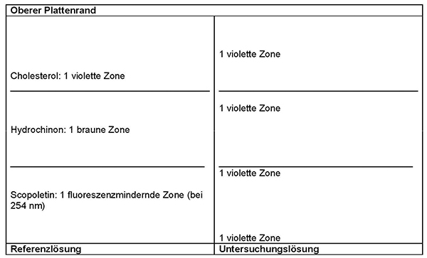Das Chromatogramm der Referenzlösung zeigt im unteren Drittel etwa in der Mitte die fluoreszenzmindernde Zone des Scopoletins, im mittleren Drittel etwa in der Mitte die braune Zone des Hydrochinons und am Übergang zum oberen Drittel die violette Zone des Cholesterols. Im Chromatogramm der Untersuchungslösung liegen folgende violette Zonen: Eine Zone oberhalb des Starts, eine weitere Zone zwischen Scopoletin und Hydrochinon (im unteren Drittel), eine Zone zwischen Hydrochinon und Cholesterol (im mittleren Drittel) und schließlich eine weitere Zone zwischen Cholesterol und der Fließmittelfront.