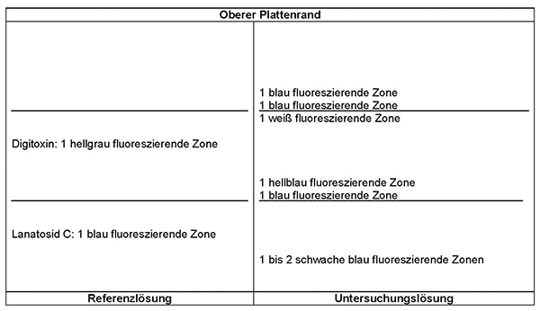 Das Chromatogramm der Referenzlösung zeigt im unteren Drittel oberhalb der Mitte die blau fluoreszierende Zone des Lanatosids C und im mittleren Drittel oberhalb der Mitte die hellgrau fluoreszierende Zone des Digitoxins. Im Chromatogramm der Untersuchungslösung treten im unteren Drittel unterhalb von Lanatosid C ein bis zwei schwache blau fluoreszierende Zonen auf. Zwischen Lanatosid C und Digitoxin liegen im mittleren Drittel eine blau fluoreszierende Zone und darüber eine hellblau fluoreszierende Zone. Oberhalb des Digitoxins tritt im mittleren Drittel am Übergang zum oberen Drittel eine weiß fluoreszierende Zone auf. Darüber liegen zwei getrennte blau fluoreszierende Zonen.