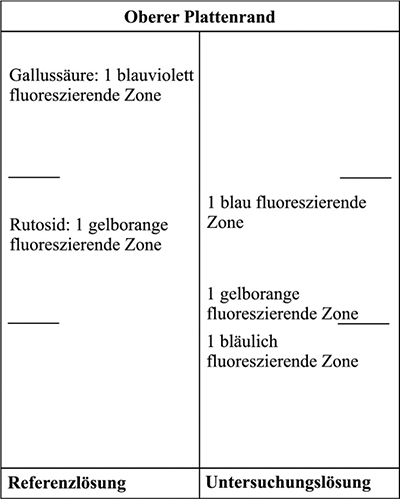 Das Chromatogramm der Referenzlösung zeigt im mittleren Drittel etwa in der Mitte die gelborange fluoreszierende Zone des Rutosids und im oberen Drittel oberhalb der Mitte die blauviolett fluoreszierende Zone der Gallussäure. Im Chromatogramm der Untersuchungslösung liegen im unteren Drittel am Übergang zum mittleren Drittel eine bläulich fluoreszierende Zone, am Übergang zum mittleren Drittel eine gelborange fluoreszierende Zone und oberhalb von Rutosid im mittleren Drittel eine blau fluoreszierende Zone.