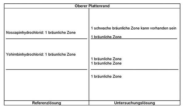 Das Chromatogramm der Referenzlösung zeigt im mittleren Drittel die bräunliche Zone des Yohimbinhydrochlorids und im oberen Drittel die bräunliche Zone des Noscapinhydrochlorids. Im Chromatogramm der Untersuchungslösung treten im oberen Bereich des unteren Drittels eine bräunliche Zone sowie im mittleren Drittel unterhalb von Yohimbinhydrochlorid zwei übereinanderliegende bräunliche Zonen auf. Im oberen Drittel erscheint eine weitere bräunliche Zone unterhalb von Noscapinhydrochlorid. Oberhalb davon kann eine schwache bräunliche Zone vorhanden sein.