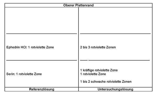 Das Chromatogramm der Referenzlösung zeigt im unteren Drittel die rotviolette Zone des Serins und im mittleren Drittel die rotviolette Zone des Ephedrinhydrochlorids. Im Chromatogramm der Untersuchungslösung erscheinen unterhalb von Serin ein bis zwei schwache rotviolette Zonen. Auf Höhe des Serins liegt eine rotviolette Zone und darüber eine weitere kräftige rotviolette Zone. Auf Höhe des Ephedrinhydrochlorids treten zwei bis drei weitere rotviolette Zonen auf.