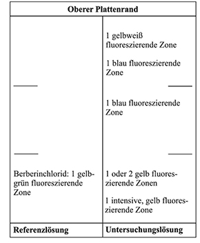 Das Chromatogramm der Referenzlösung zeigt bei Detektion A (im UV-Licht bei 365 nm) im unteren Drittel die gelbgrün fluoreszierende Zone des Berberinchlorids. Im Chromatogramm der Untersuchungslösung liegt unterhalb des Berberinchlorids eine intensive, gelb fluoreszierende Zone und auf Höhe des Berberinchlorids eine oder zwei gelb fluoreszierende Zonen. Im mittleren Drittel tritt eine blau fluoreszierende Zone auf und im oberen Drittel liegen eine weitere blau fluoreszierende Zone und eine gelb-weiß fluoreszierende Zone.