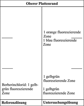 Das Chromatogramm der Referenzlösung zeigt bei Detektion A (im UV-Licht bei 365 nm) im unteren Drittel die gelbgrün fluoreszierende Zone des Berberinchlorids. Im Chromatogramm der Untersuchungslösung liegen unter- und oberhalb des Berberinchlorids jeweils eine gelbgrün fluoreszierende Zone, am Übergang vom mittleren zum oberen Drittel eine blau fluoreszierende Zone und darüber eine orange fluoreszierende Zone.