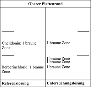 Das Chromatogramm der Referenzlösung zeigt bei Detektion B (nach Besprühen mit verdünntem Dragendorffs Reagenz R und danach mit Natriumnitrit-Lösung R) im unteren Drittel die braune Zone des Berberinchlorids und im mittleren Drittel die braune Zone des Chelidonins. Im Chromatogramm der Untersuchungslösung treten auf Höhe des Berberinchlorids eine braune Zone und darüber zwei weitere getrennte braune Zonen auf. Auf Höhe des Chelidonins liegt eine weitere braune Zone.