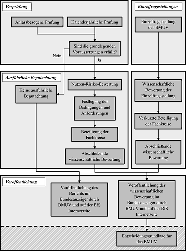 Das Flussdiagramm zeigt eine schematische Darstellung der wissenschaftlichen Bewertung von noch nicht zugelassenen und nach Nummer 7 neu zu bewertenden Früherkennungsuntersuchungen sowie der wissenschaftlichen Bewertung von Einzelfragestellungen zu bereits zugelassenen Früherkennungsuntersuchungen.