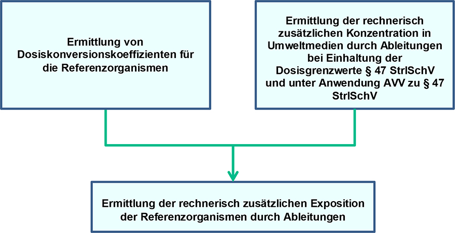 Abb. 1: Grundsätzliche Vorgehensweise bei der Ermittlung der rechnerisch zusätzlichen Exposition der Referenzorganismen durch Ableitungen