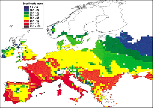 CLIMEX Karte Europas mit farblicher Darstellung der Ökoklimatischen Indizes. Höhere Ökoklimatische Indizes repräsentieren bessere klimatische Bedingungen für eine Etablierung des ALB (aus: MACLEOD et al. 2002)