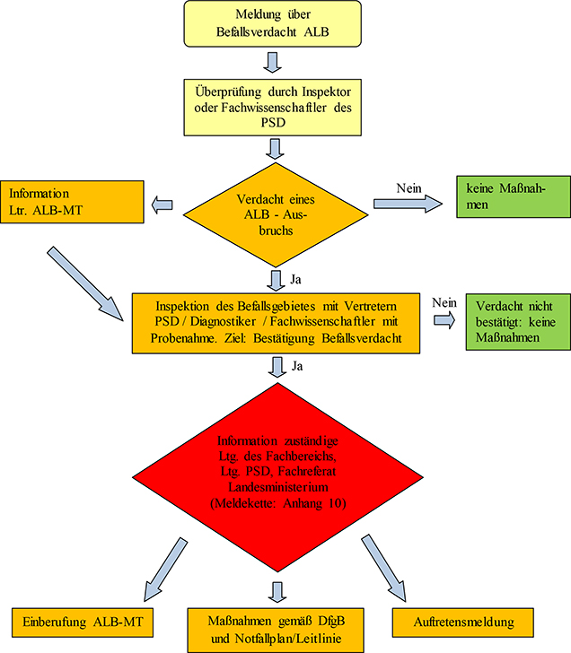 Ablaufschema von der Verdachtsmeldung bis zu Maßnahmen