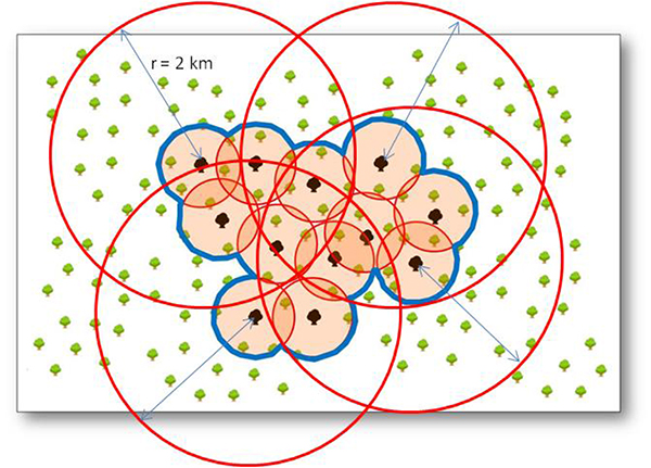 Pufferzone im Abstand (Radius) von 2 km um jeden befallenen Baum. Die Außenlinien ergeben die Grenze des abgegrenzten Gebietes. In der vorliegenden Abbildung exemplarisch für vier Bäume dargestellt.