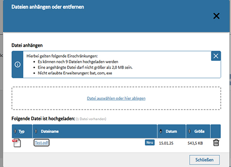Abbildung 30: Hier wird der Upload-Dialog mit einer hochgeladenen Datei angezeigt.