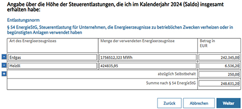 Abbildung 45: Die Seite, auf der Angaben über die Höhe der erhaltenen Steuerentlastungen gemacht werden müssen, wird angezeigt.