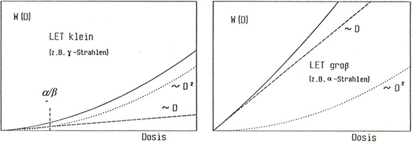 Abbildung 2.2: Linear-quadratische Dosis-Wirkungsbeziehungen für Strahlenarten mit kleinem (links) und mit großem (rechts) LET. Der Quotient alpha/beta hängt vom LET ab und bezeichnet den Dosiswert, für den der lineare und der quadratische Term gleich groß sind. Beachte: Der quadratische Anteil (gepunktete Linie) ist in beiden Abbildungsteilen gleich.