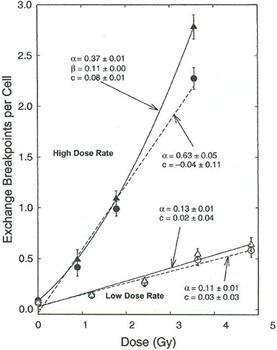 Abbildung 3.1: Anzahl der Bruchstellen pro Zelle bei Chromosomen-Austauschaberrationen in Abhängigkeit von der Dosis bei verschiedenen Dosisleistungen. Die Parameter alpha und beta geben den linearen bzw. quadratischen Term in der linear-quadratischen Beziehung (s. Gl. 2.1) an, c ist der Achsenabschnitt der Polynome. Dreiecke geben „komplexe“ Aberrationen (mehrere Bruchstellen pro Austausch), Kreise „einfache“ Aberrationen (eine oder wenige Bruchstellen pro Austausch) an.