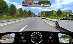 Sie befahren eine Straße innerorts mit 45 km/​h. Auf dem linken Gehweg befinden sich ein Kind und ein Hund.